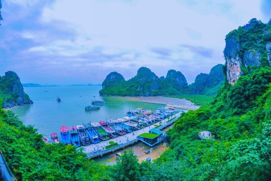 Tuan Chau harbor with colorful cruise boats – Auasia Travel